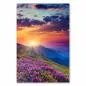 Preview: Atemberaubender Sonnenuntergang über einer Bergwiese voller rosa blühender Alpenrosen. Preview: Atemberaubender Sonnenuntergang über einer Bergwiese voller rosa blühender Alpenrosen.